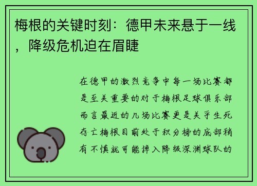 梅根的关键时刻：德甲未来悬于一线，降级危机迫在眉睫